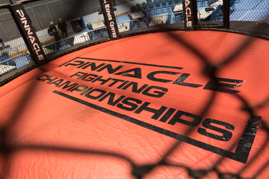 Pinnacle Fight Championship 03-24-2018