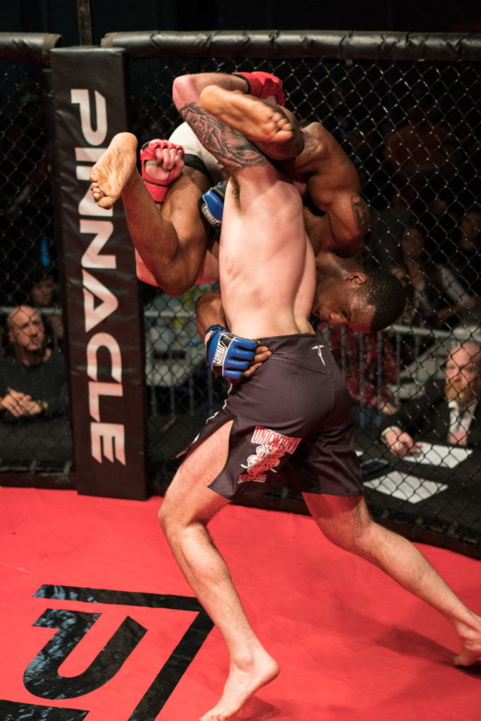 Pinnacle Fight Championship 03-24-2018